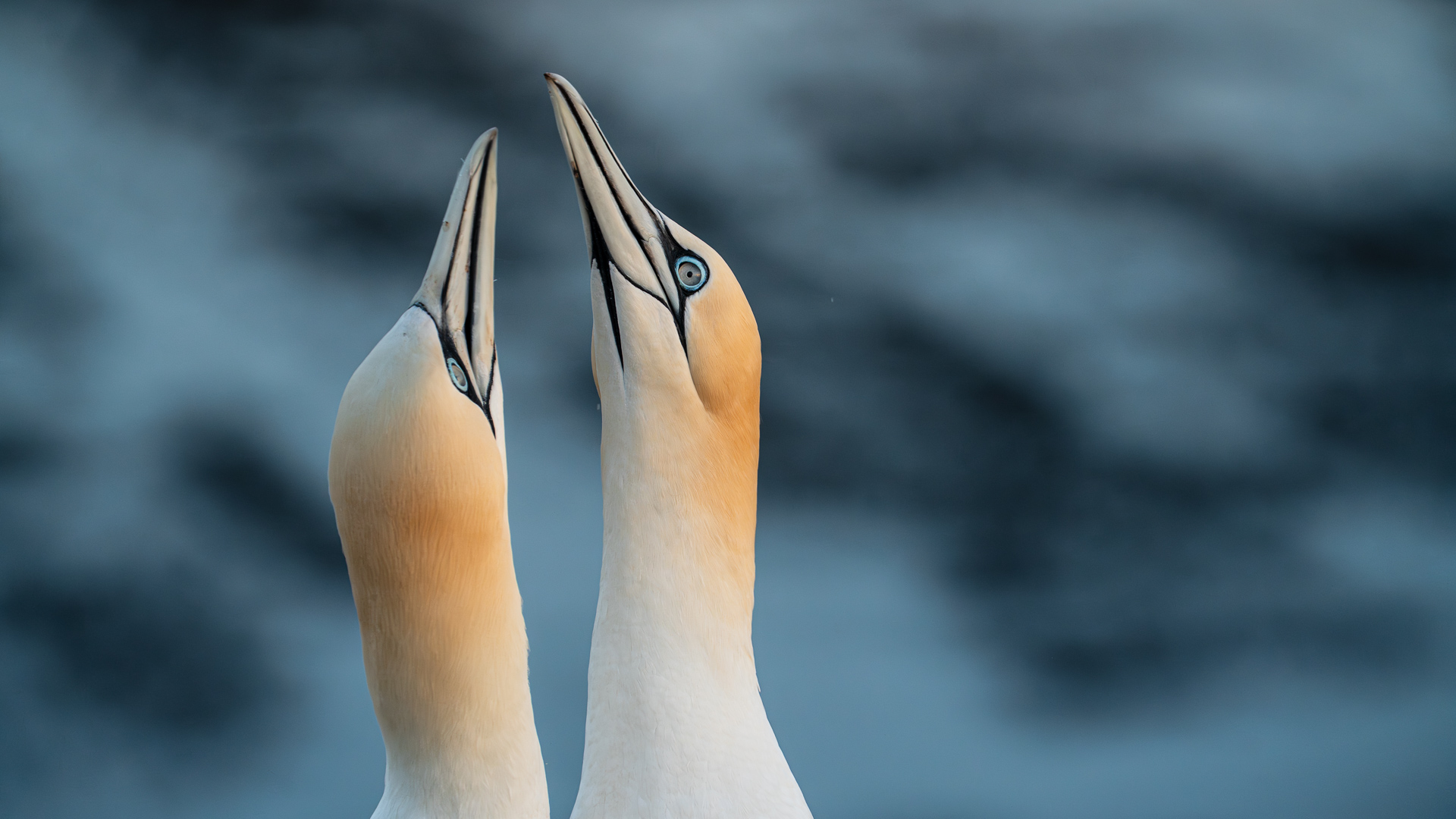 Maike Jarsetz’ »Raw-Entwicklung und Workflow in Lightroom«